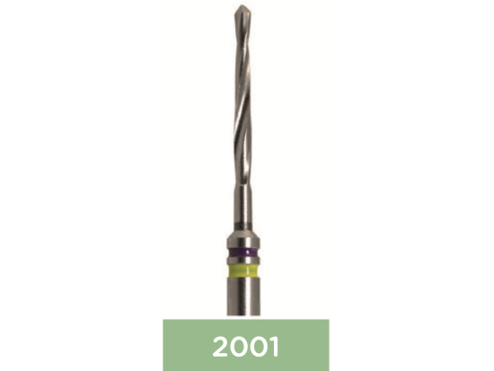 FRAISE 2001 x1