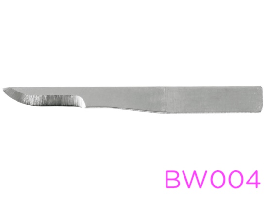 Lame de prcision BW004 x10